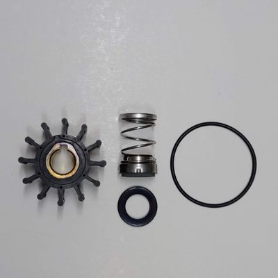 SCP-12137 Minor Repair Kit for Oberdorfer pump 302m-03