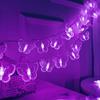 Butterfly Curtain Fairy Lights USB Plug in,8 Modes 120 LED 19.7FT Firefly Twinkle Timer String Lights with Remote, Waterproof Copper Wire for Bedroom Patio Christmas Wedding Party Dorm (Purple) view 4