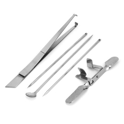 Salaty Stainless Steel Capon Tool, Durable 5Pcs Chicken Capon Tool, Small and Light Castration Chicken Tool for Poultry Farms Tools Salatyz2octp96dv