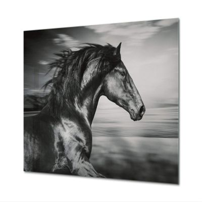 Glass Picture Wall Art - Picture on Glass Animals Series