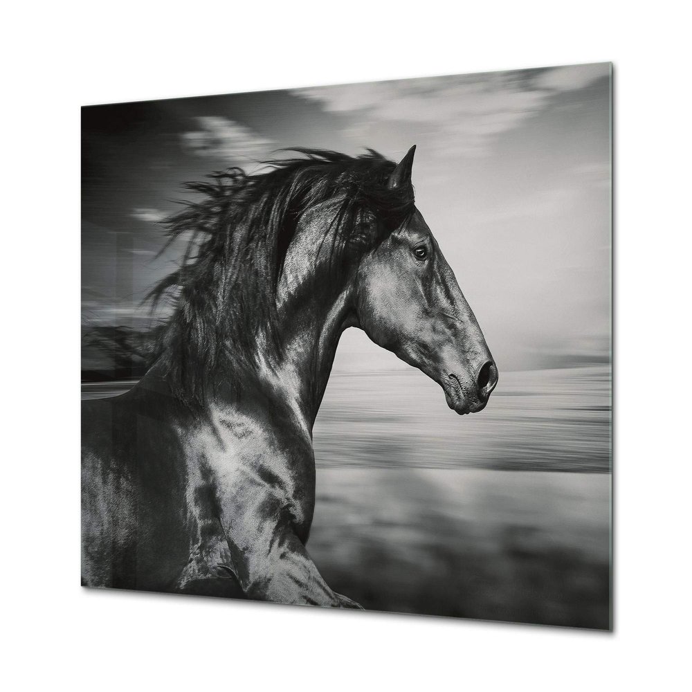 Glass Picture Wall Art - Picture on Glass Animals Series