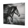 Glass Picture Wall Art - Picture on Glass Animals Series view 1
