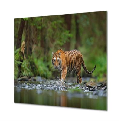 Glass Picture Wall Art - Picture on Glass Animals Series