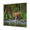 Glass Picture Wall Art - Picture on Glass Animals Series view 1