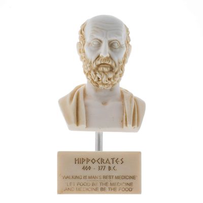 BEAUTIFUL GREEK STATUES Hippocrates of Kos Father of Medicine Alabaster Bust Statue Marble Base