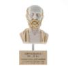 BEAUTIFUL GREEK STATUES Hippocrates of Kos Father of Medicine Alabaster Bust Statue Marble Base view 1