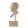 BEAUTIFUL GREEK STATUES Hippocrates of Kos Father of Medicine Alabaster Bust Statue Marble Base view 3