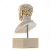 BEAUTIFUL GREEK STATUES Hippocrates of Kos Father of Medicine Alabaster Bust Statue Marble Base view 4