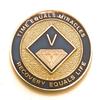 5 Year NA Blue & Gold Diamond Style Recovery, Clean, Medallion, Chip, Token view 1