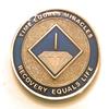 1 Year NA Blue & Gold Diamond Style Recovery, Clean, Medallion, Chip, Coin, Token view 1