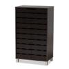 Baxton Studio Ernest Modern and Contemporary Dark Brown Finished Wood 2-Door Shoe Storage Cabinet view 1