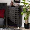 Baxton Studio Ernest Modern and Contemporary Dark Brown Finished Wood 2-Door Shoe Storage Cabinet view 2