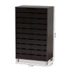 Baxton Studio Ernest Modern and Contemporary Dark Brown Finished Wood 2-Door Shoe Storage Cabinet view 3