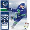 NHL Vancouver Canucks - Quinn Hughes 20 Wall Poster, 34L x 22.4W, Premium Poster & Mount Bundle view 1