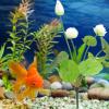 balacoo 3pcs Fish Tank Lotus Decoration Lotus Adornment Vivid Ornament Decorative Simulation Fish Tank Decoration Imitation Fish Tank Plastic Props Simulate view 4
