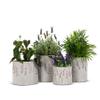 Abbott Collection 27-LAVENDER-943 Tall Lavender Cooler/Vase, Grey/Purple view 4