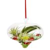 Athenas Garden LO-HCH0305-APSAPM-L-AR 5 in. Rain Drop Live Ornament Arrangement view 1