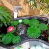 ZAUGONTW 12 Pieces Realistic Lily Pads Leaves, Artificial Floating Foam Lotus Leaves, Water Lily Pads Artificial Foliage Pond Decor for Pond Pool Aquarium Decoration view 4
