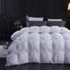 1 PC Comforter Set Premium Quality Cotton Fill 500 GSM Pinch Pleated Comforter All-Season Luxurious Soft Comfortable Baffle+Pinch Pleat Comforter Set Twin/Twin XL Size-White view 2