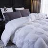 1 PC Comforter Set Premium Quality Cotton Fill 500 GSM Pinch Pleated Comforter All-Season Luxurious Soft Comfortable Baffle+Pinch Pleat Comforter Set Twin/Twin XL Size-White view 3