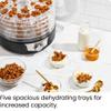 Chefman 5-Tray Food Dehydrator, 11.4-Inch Transparent Trays, Adjustable Temperature Control, Create Dried Snacks For The Family, Prepare Fruits, Jerky, Vegetables, Meats, & Herbs view 4
