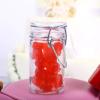 12 Set 3 Oz Favor Candy Glass Mason Jars with Glass Lid and Metal Clips Cylindrical Design view 1