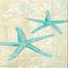 Boston International International Hand Towels, Decorative Paper Guest Towels for Bathroom or Paper Napkins Dinner Napkins Turquoise Starfish Beach Bathroom Decor Pak 32, blue view 1