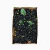 24 Roses | 2" Artificial Foam Rose with Stem and Leaves - 16 Colors (Black) view 2