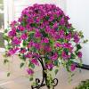 Homsunny Artificial Hanging Flowers Plants Basket for Outdoor Decoration,4 PCS Faux Silk Bougainvillea Vine Flowers Look Real UV Resistant for Outside Porch Patio Yard Garden Decor (Purple) view 2