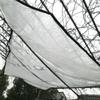 ZHANGQINGXIU Tarpaulin Fabric Tarpaulin Cover Tarpaulin Waterproof Heavy Duty Clear Glass Canopy Bird Proof Windshield Tool Garden Rainproof Soft Plastic Film, 23 Sizes (Color : Clear, Size : 2x5m) view 3