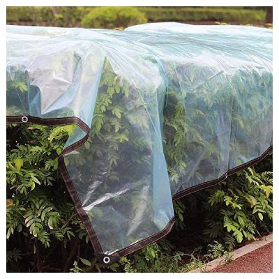 ZHANGQINGXIU Tarpaulin Fabric Tarpaulin Covering Tarpaulin Waterproof Heavy Duty Weather Resistant Tarps with Eyelets Outdoor Fishing Camping Ground Cover, 41 Sizes (Color : Clear, Size : 3x3m)