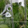 ZHANGQINGXIU Fabric Tarpaulin PVC Clear Tarpaulin, Tarpaulin Waterproof Heavy Duty Eyelets, Transparent Vinyl Tarpaulin Cover for Balcony Window Garden Plant Tent Rainproof, 24 Sizes view 3