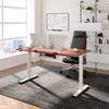 FLEXISPOT EN1 Essential Adjustable Height Desk Electric 40 inch X 24 inch Whole-Piece Desktop Small Standing Desk Ergonomic Memory Controller (White Frame + 40 inch Mahogany Desktop) view 2