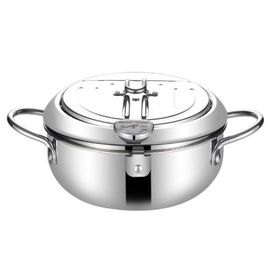 AIZYR 304 Stainless Steel Tempura Deep Fryer Pot - Japanese Covered Deep Fryer with Thermometer and Oil Drip Rack Lid for Kitchen Cooking,20cm