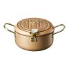 AIZYR Japanese Tempura Deep Fryer Pot - Non-Stick Oil Frying Panwith Thermometer and Oil Drip Rack Lid for Chicken French Fries Fish and Shrimp,B,Pot + Oil Pot view 1