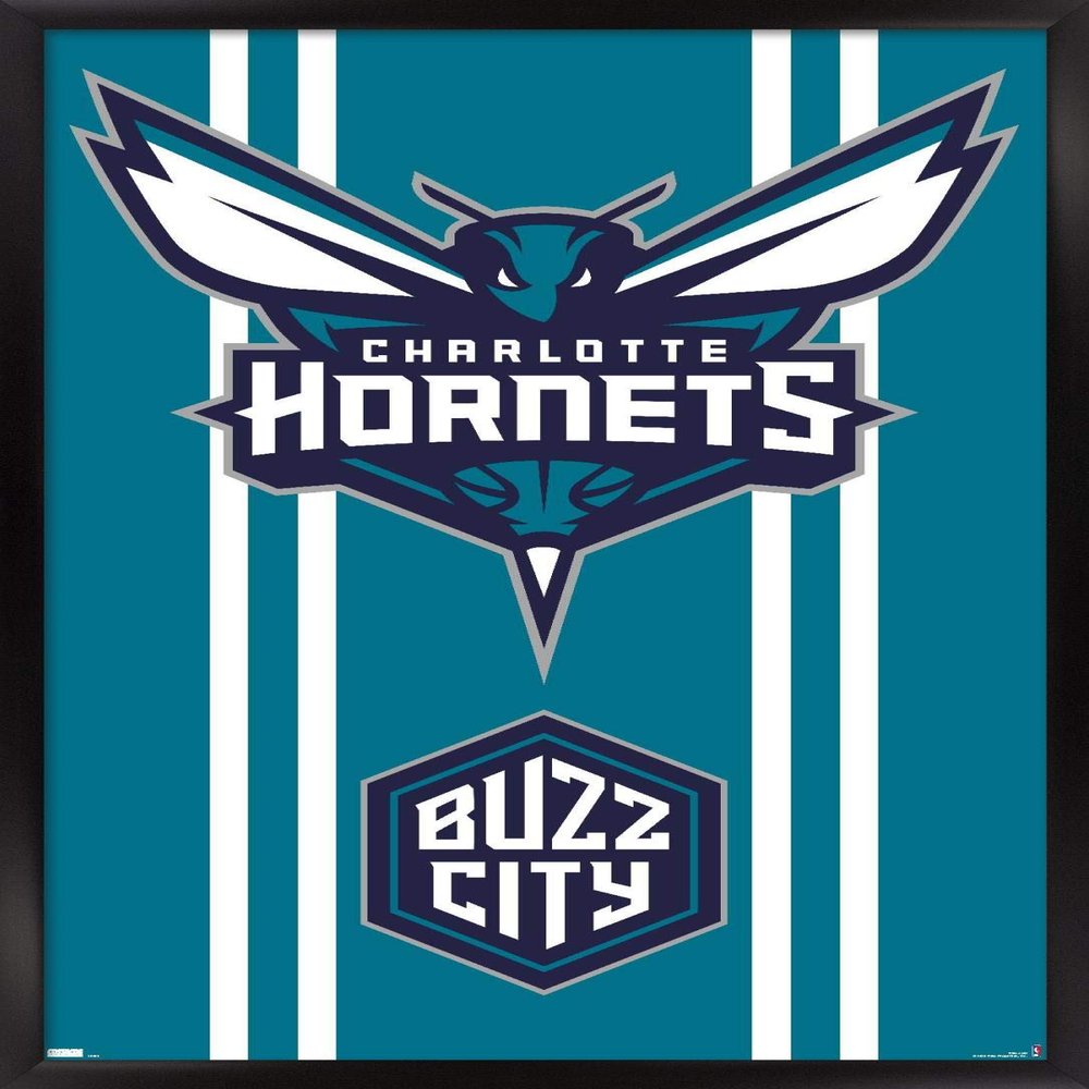 Trends International NBA Charlotte Hornets - Logo 20 Wall Poster, 34L x 22.4W, Black Framed Version