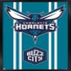 Trends International NBA Charlotte Hornets - Logo 20 Wall Poster, 22.4L x 14.7W, Black Framed Version view 1