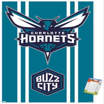 Trends International NBA Charlotte Hornets - Logo 20 Wall Poster, 34L x 22.4W, Premium Poster & Mount Bundle