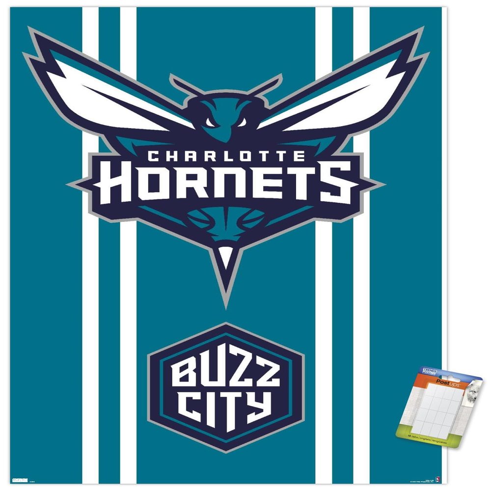 Trends International NBA Charlotte Hornets - Logo 20 Wall Poster, 34L x 22.4W, Premium Poster & Mount Bundle