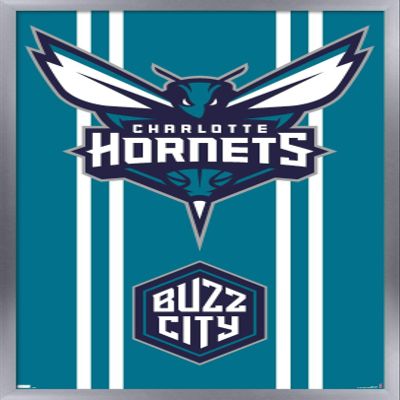 Trends International NBA Charlotte Hornets - Logo 20 Wall Poster, 22.4L x 14.7W, Silver Framed Version