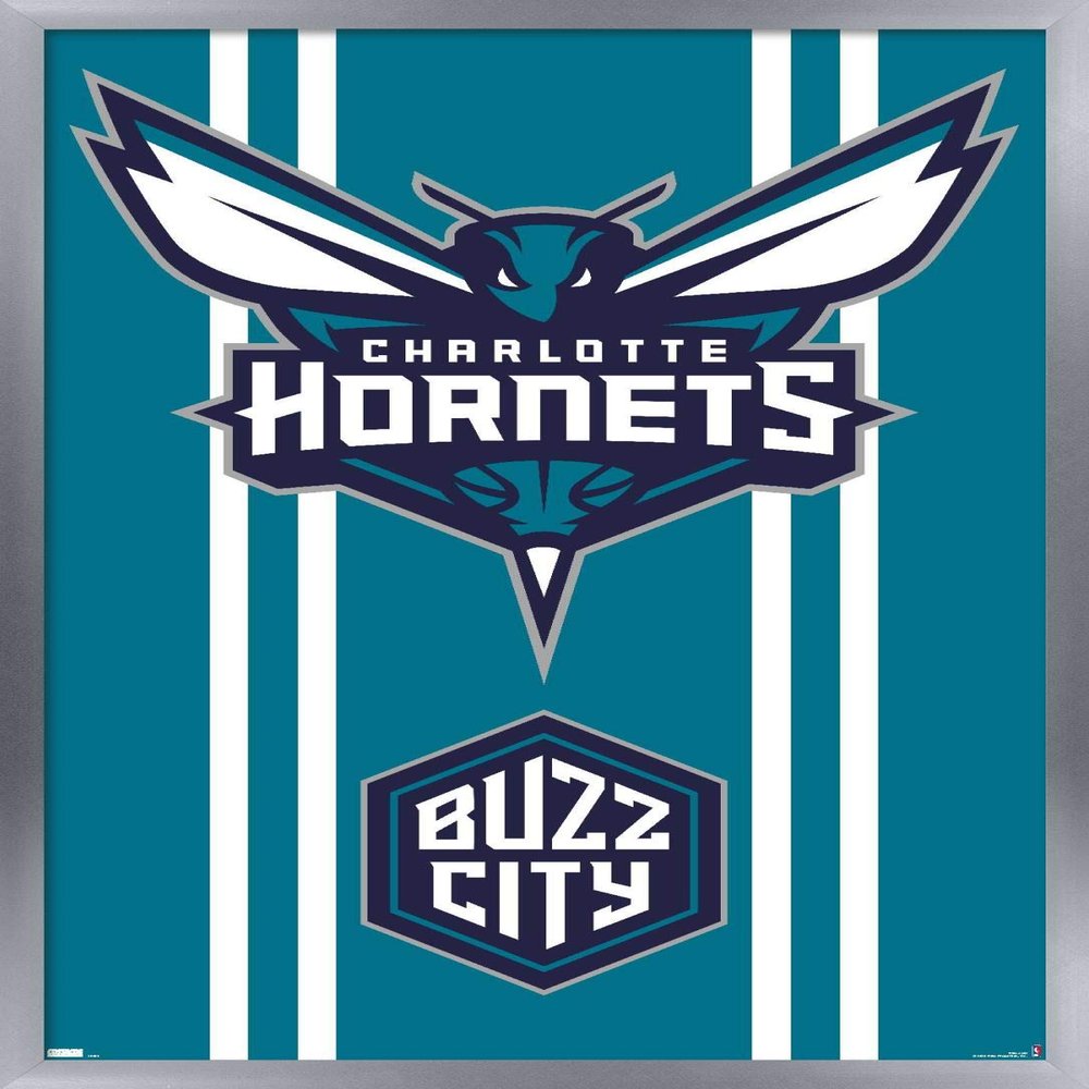 Trends International NBA Charlotte Hornets - Logo 20 Wall Poster, 22.4L x 14.7W, Silver Framed Version