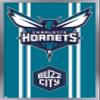 Trends International NBA Charlotte Hornets - Logo 20 Wall Poster, 22.4L x 14.7W, Silver Framed Version view 1