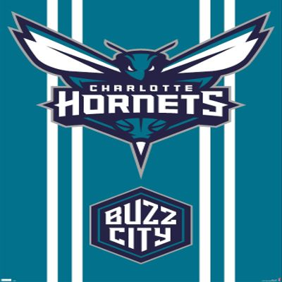 Trends International NBA Charlotte Hornets - Logo 20 Wall Poster, 34L x 22.4W, Premium Unframed Version