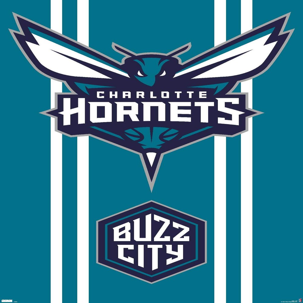 Trends International NBA Charlotte Hornets - Logo 20 Wall Poster, 34L x 22.4W, Premium Unframed Version