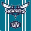 Trends International NBA Charlotte Hornets - Logo 20 Wall Poster, 34L x 22.4W, Premium Unframed Version view 1