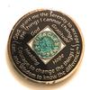 1 Year NA Bling Medallion - Aqua, Turquoise, Glitter, Blue, Chip, Coin, Token view 2