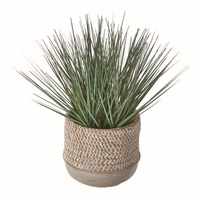 TAG tag Baja Potted Grass 5inLx5inWx11inH Brown