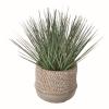 TAG tag Baja Potted Grass 5inLx5inWx11inH Brown view 1