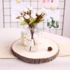 12" Dia - Rustic Natural Wood Slices, Round Poplar Wood Slabs, Table Centerpieces (Pack of 1 Round Charger) view 4