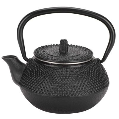 300ml Cast Iron Teapot with Infuser, Japanese Tetsubin Tea Kettle for Boiling Hot Water, Loose tea and Tea Bags, Stovetop Safe